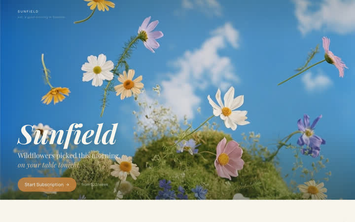 Sunfield website screenshot